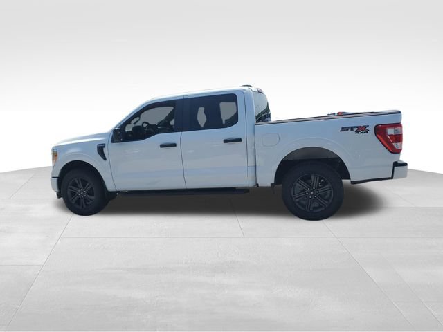 Used 2021 Ford F150 XL w/ STX Appearance Package AWD/4WD image 7