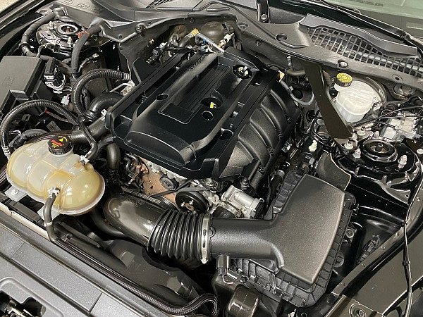 Used 2019 Ford Mustang Premium image 15