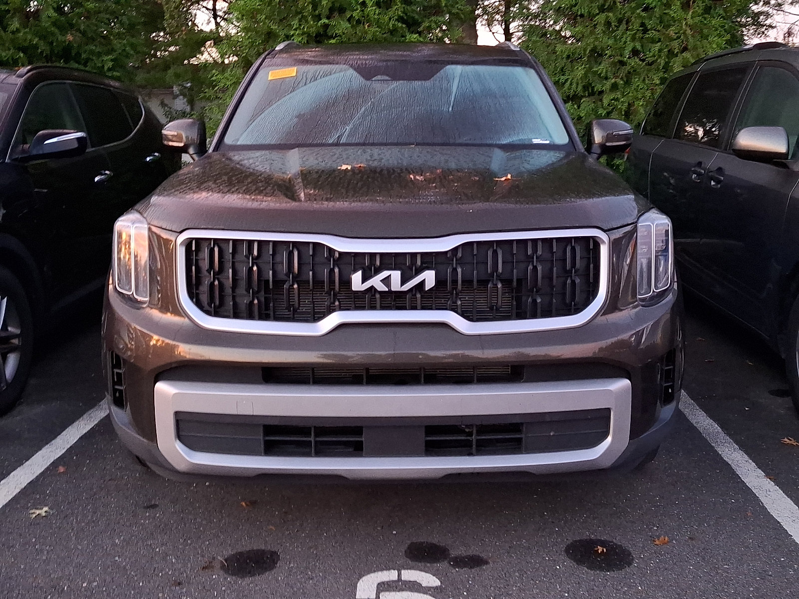 Used 2024 Kia Telluride EX w/ EX Captain's Chair Package AWD/4WD image 3