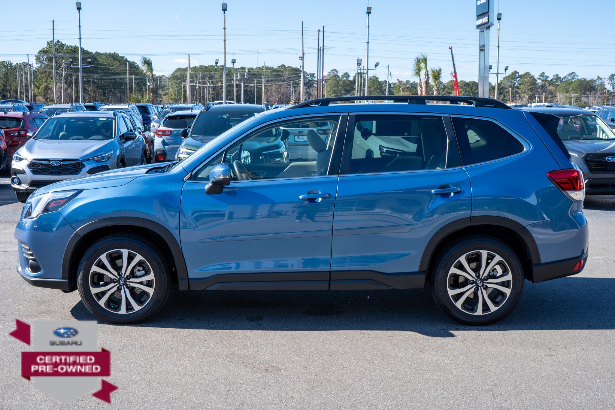 Certified 2024 Subaru Forester Limited image 6