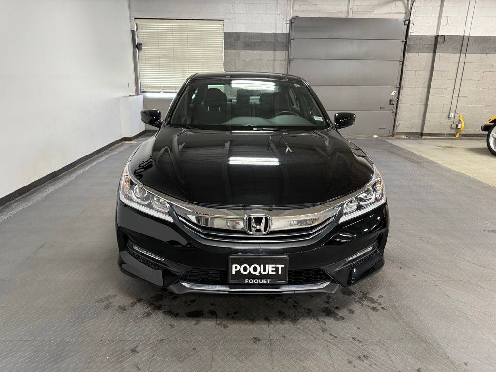 Used 2017 Honda Accord Sport image 3