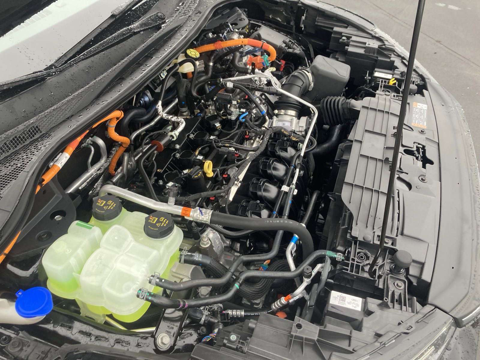 New 2024 Ford Escape ST-Line Select w/ Tech Pack #2 image 18