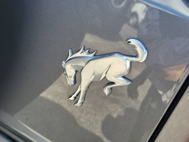Certified 2023 Ford Bronco Everglades AWD/4WD image 5