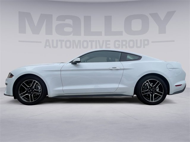 Used 2022 Ford Mustang Premium w/ Equipment Group 201A image 2