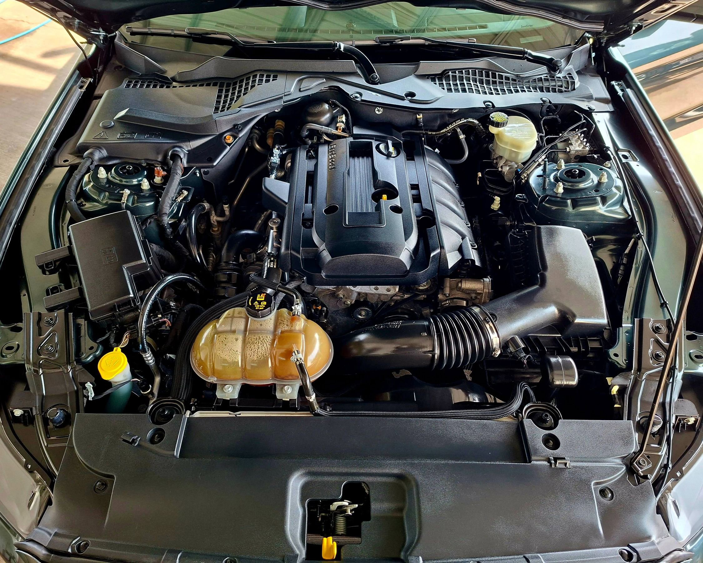 Used 2015 Ford Mustang Premium w/ Equipment Group 201A RWD image 31