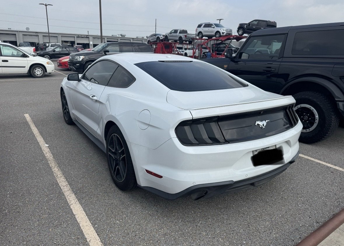 Used 2019 Ford Mustang Coupe w/ Equipment Group 101A RWD image 8