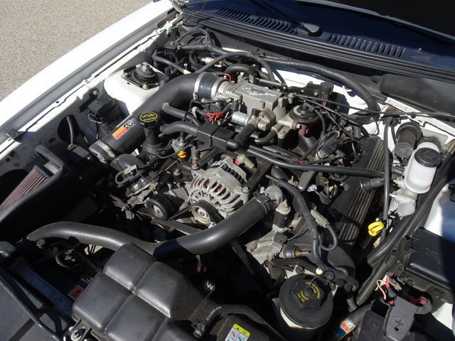 Used 2001 Ford Mustang GT Premium RWD image 14