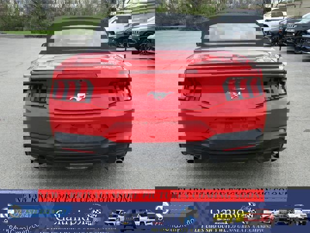 Used 2024 Ford Mustang Premium image 8