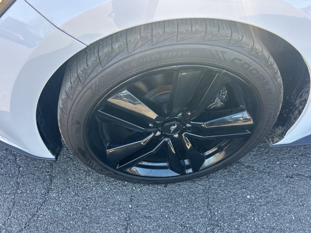 Used 2016 Ford Mustang Premium w/ Ecoboost Performance Package image 10