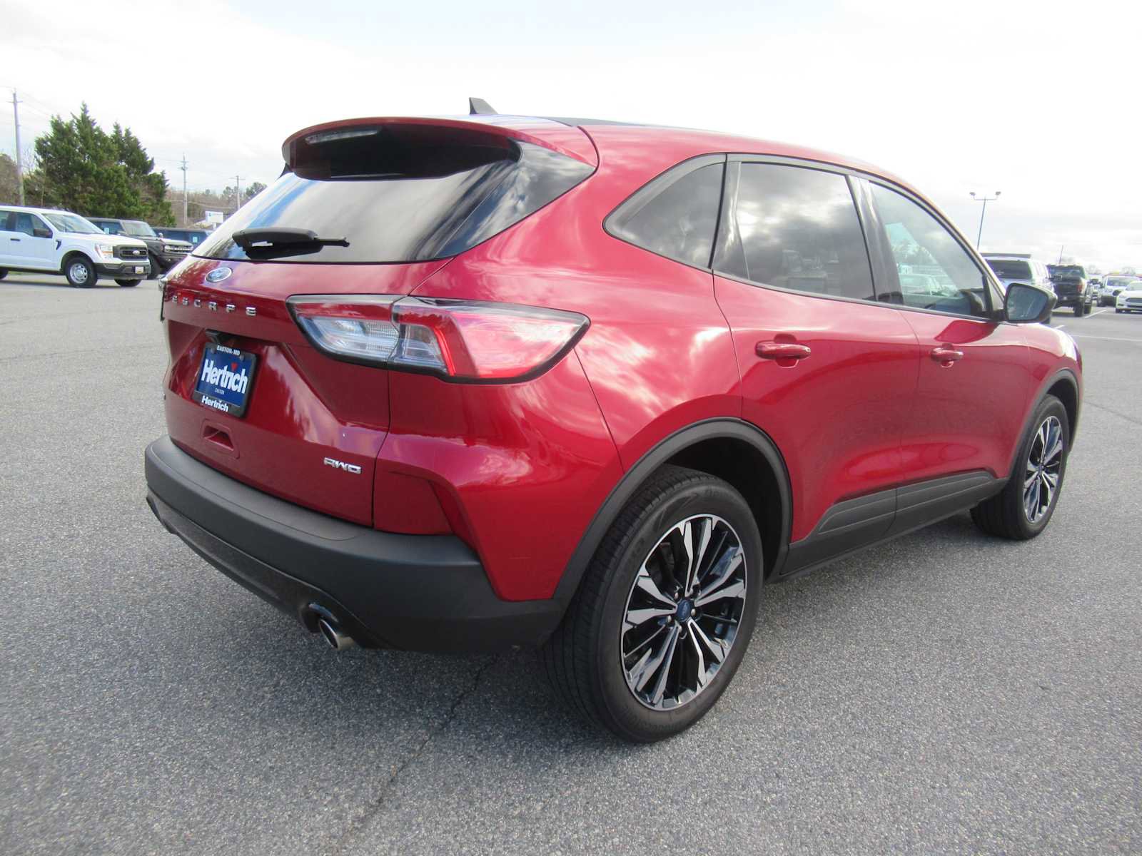 Used 2022 Ford Escape SE w/ SE Sport Appearance Package image 5