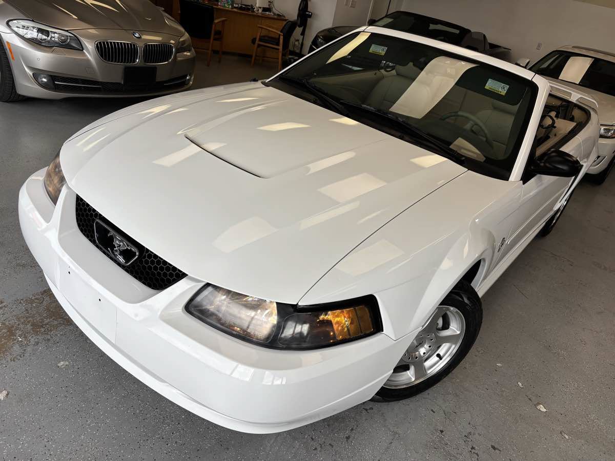Used 2003 Ford Mustang Convertible RWD image 15
