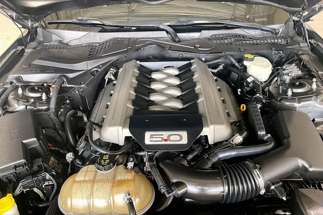 Used 2016 Ford Mustang GT Premium w/ Equipment Group 401A image 9