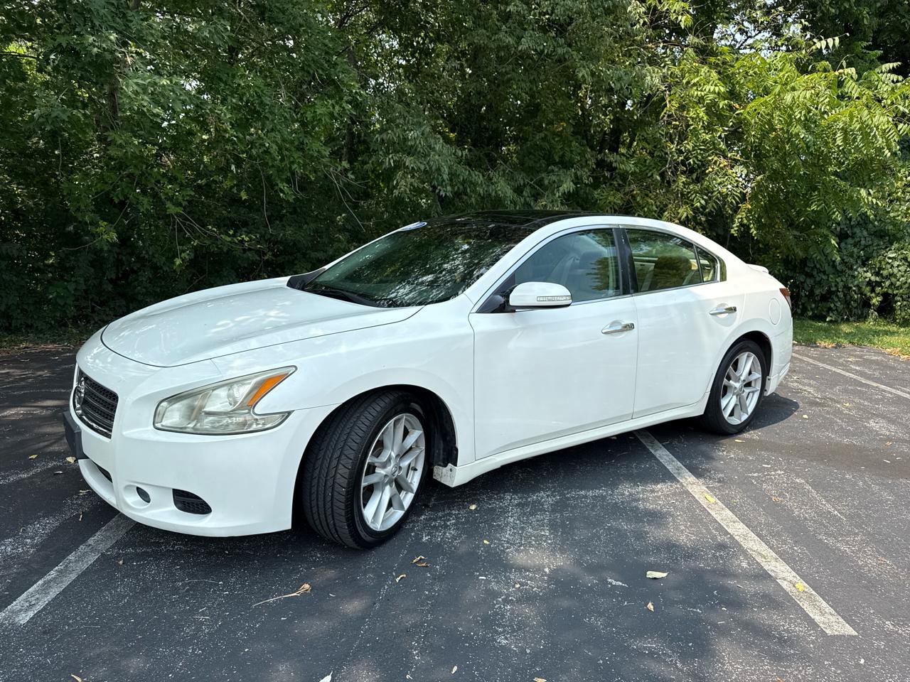 Used 2010 Nissan Maxima 3.5 SV w/ Premium Pkg FWD image 1