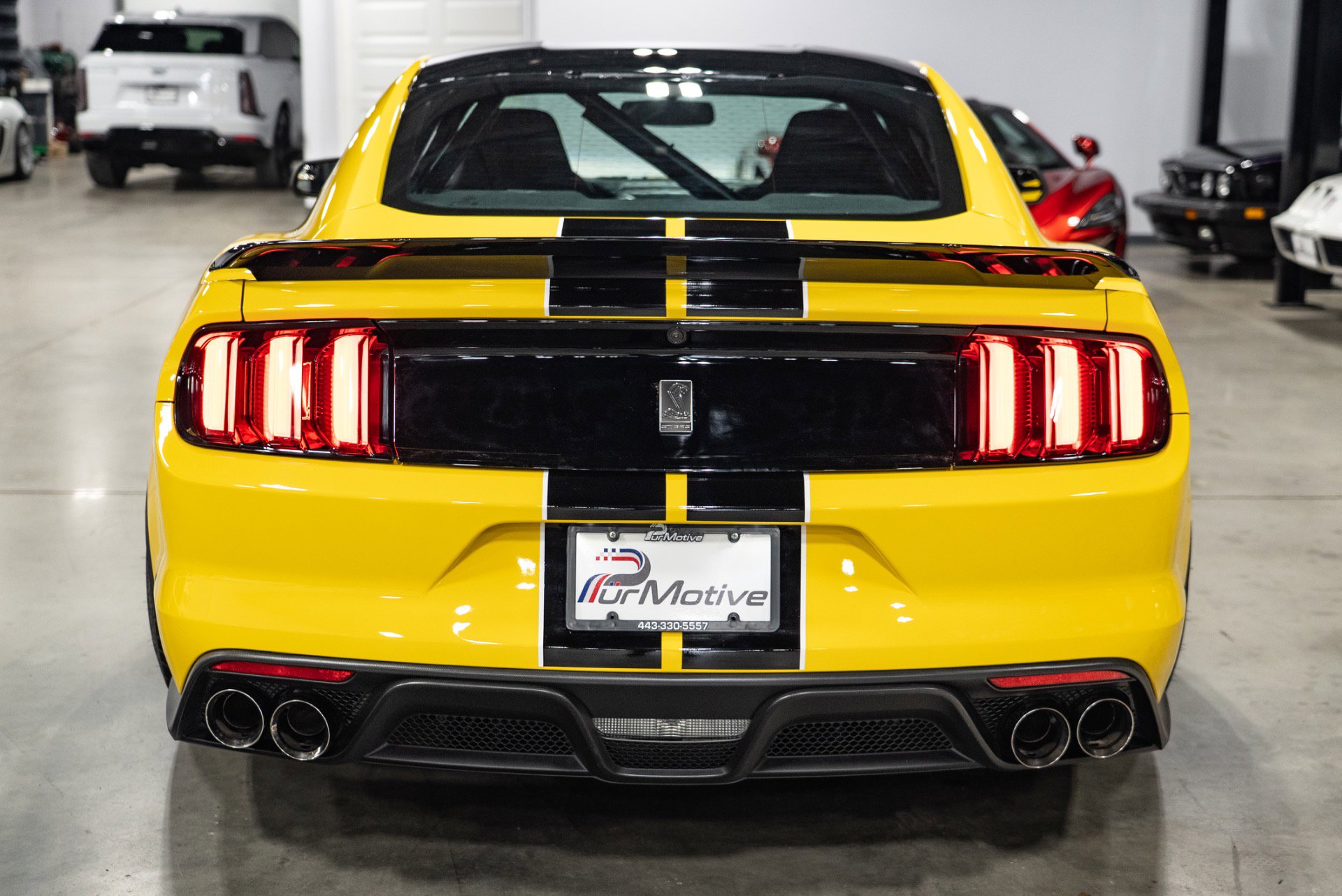 Used 2016 Ford Mustang Shelby GT350 w/ Track Package image 21