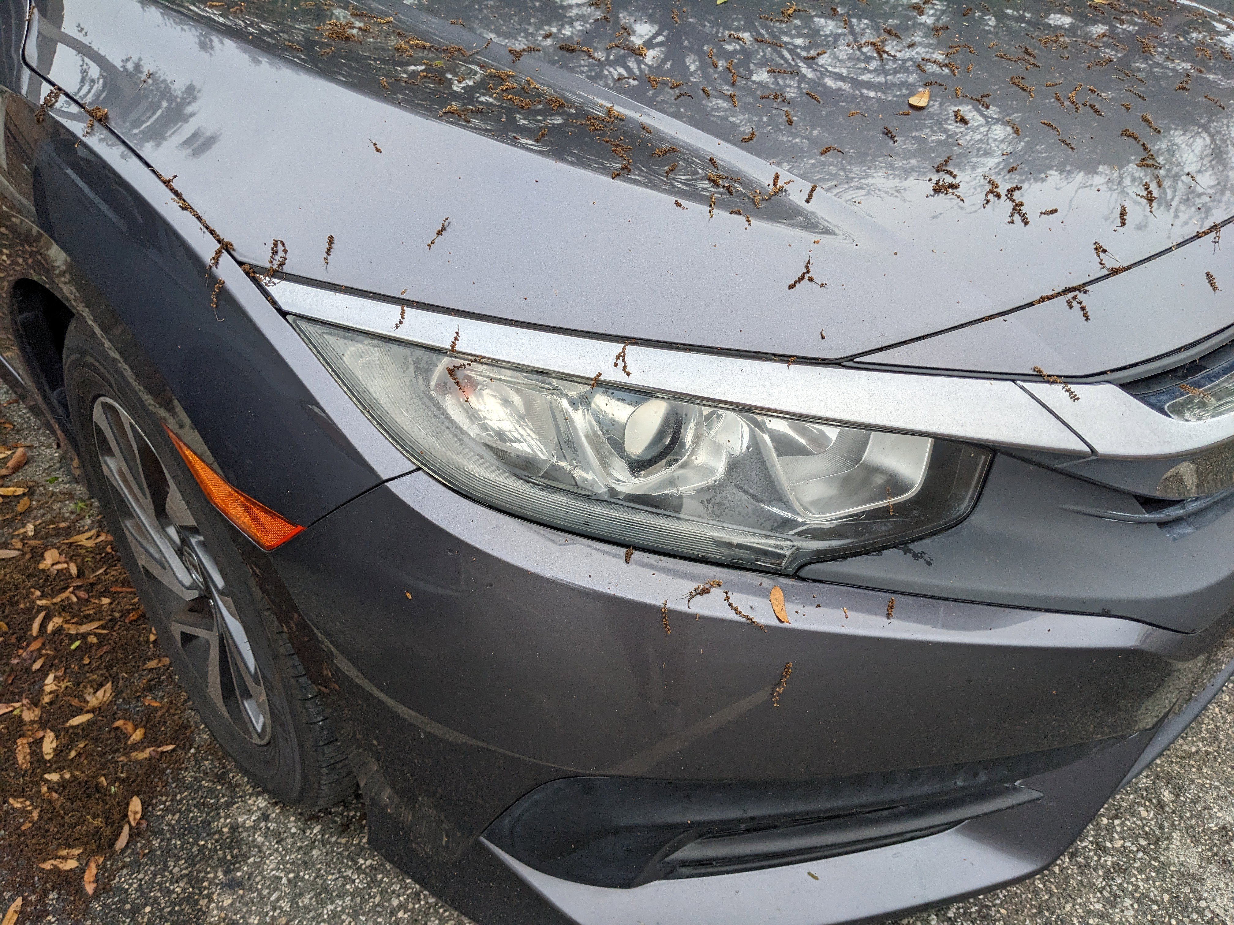 Used 2018 Honda Civic EX image 6