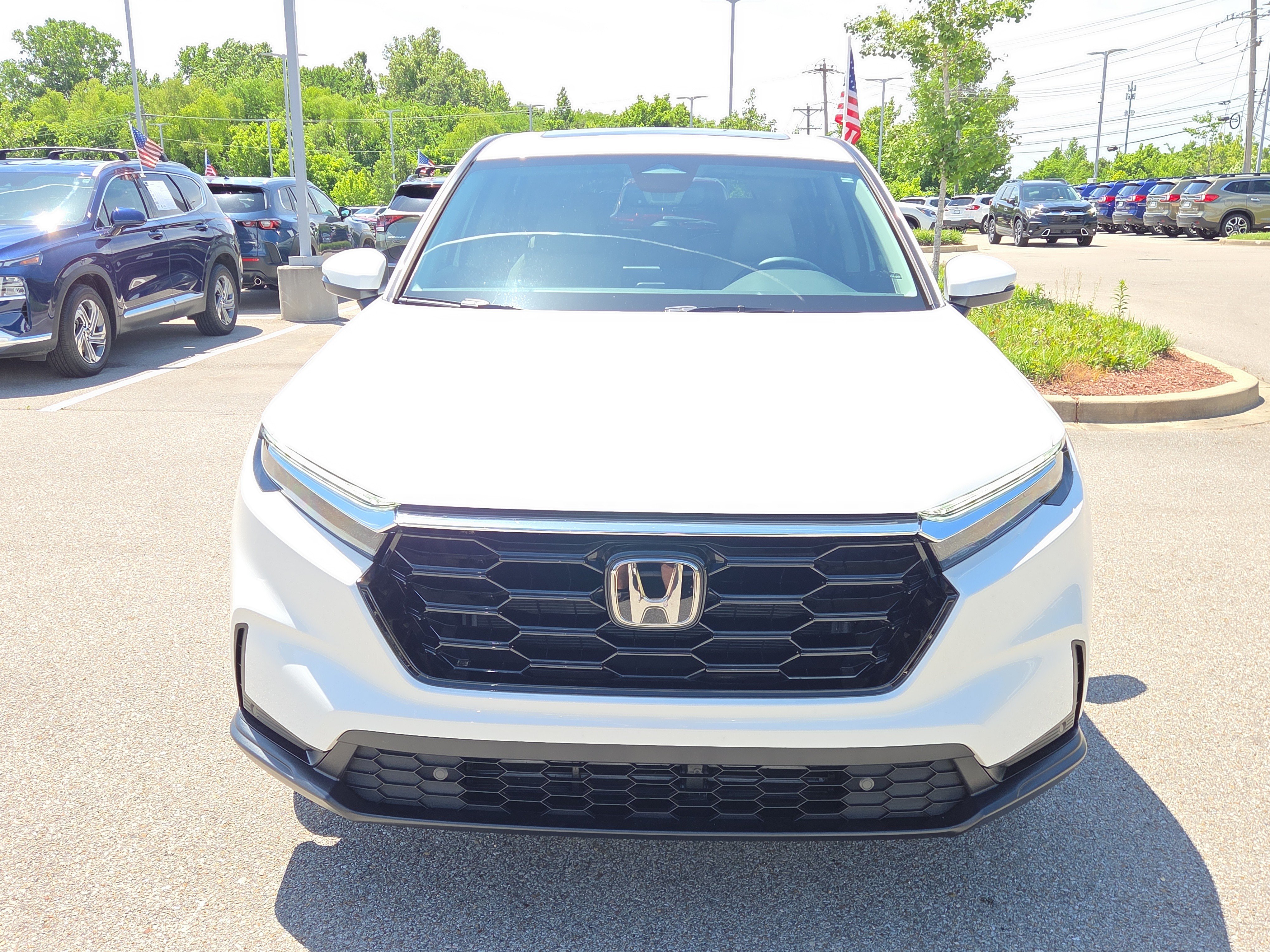 Used 2026 Honda CR-V EX-L image 8