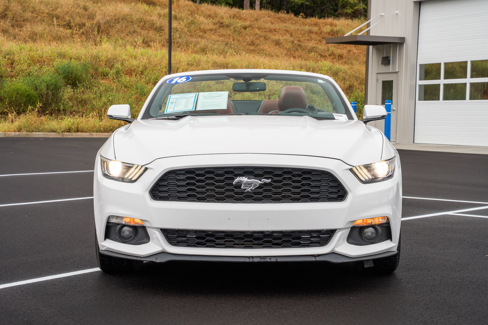 Used 2016 Ford Mustang Premium RWD image 3