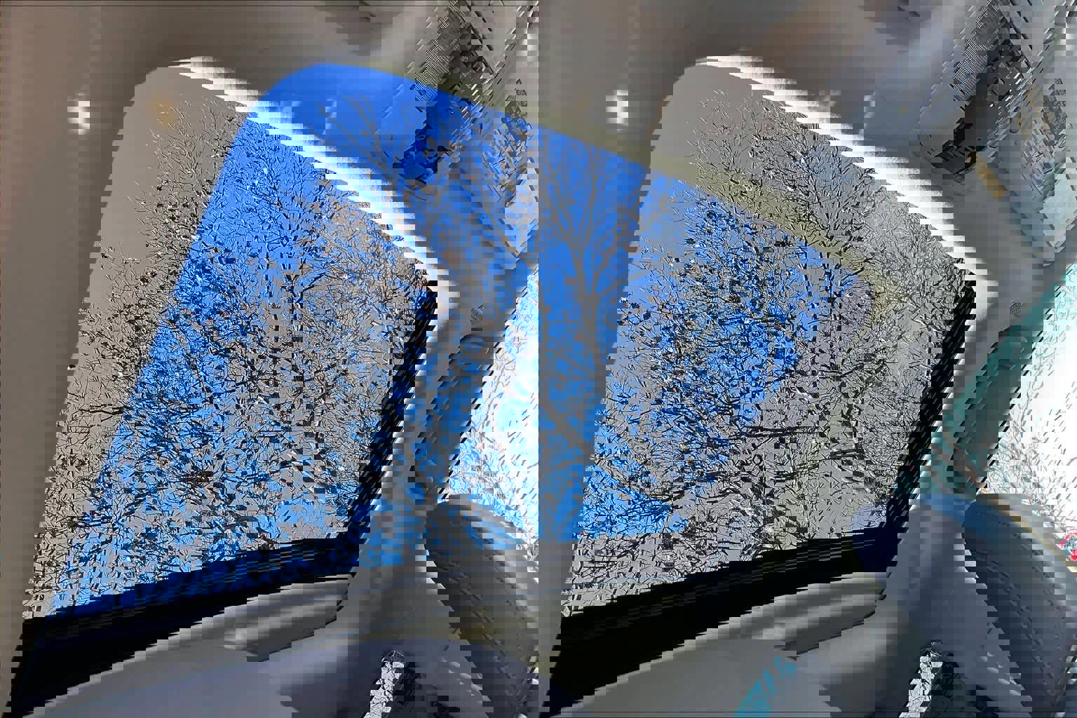 Used 2020 Lexus GX 460 Premium image 14