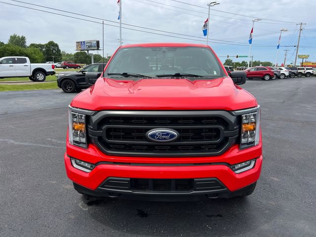 Used 2023 Ford F150 XLT w/ Equipment Group 302A High AWD/4WD image 2