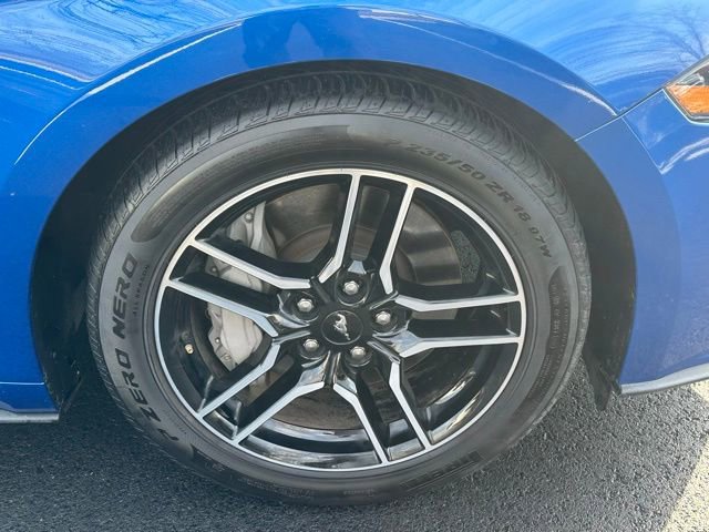 Used 2018 Ford Mustang GT w/ Equipment Group 301A image 12