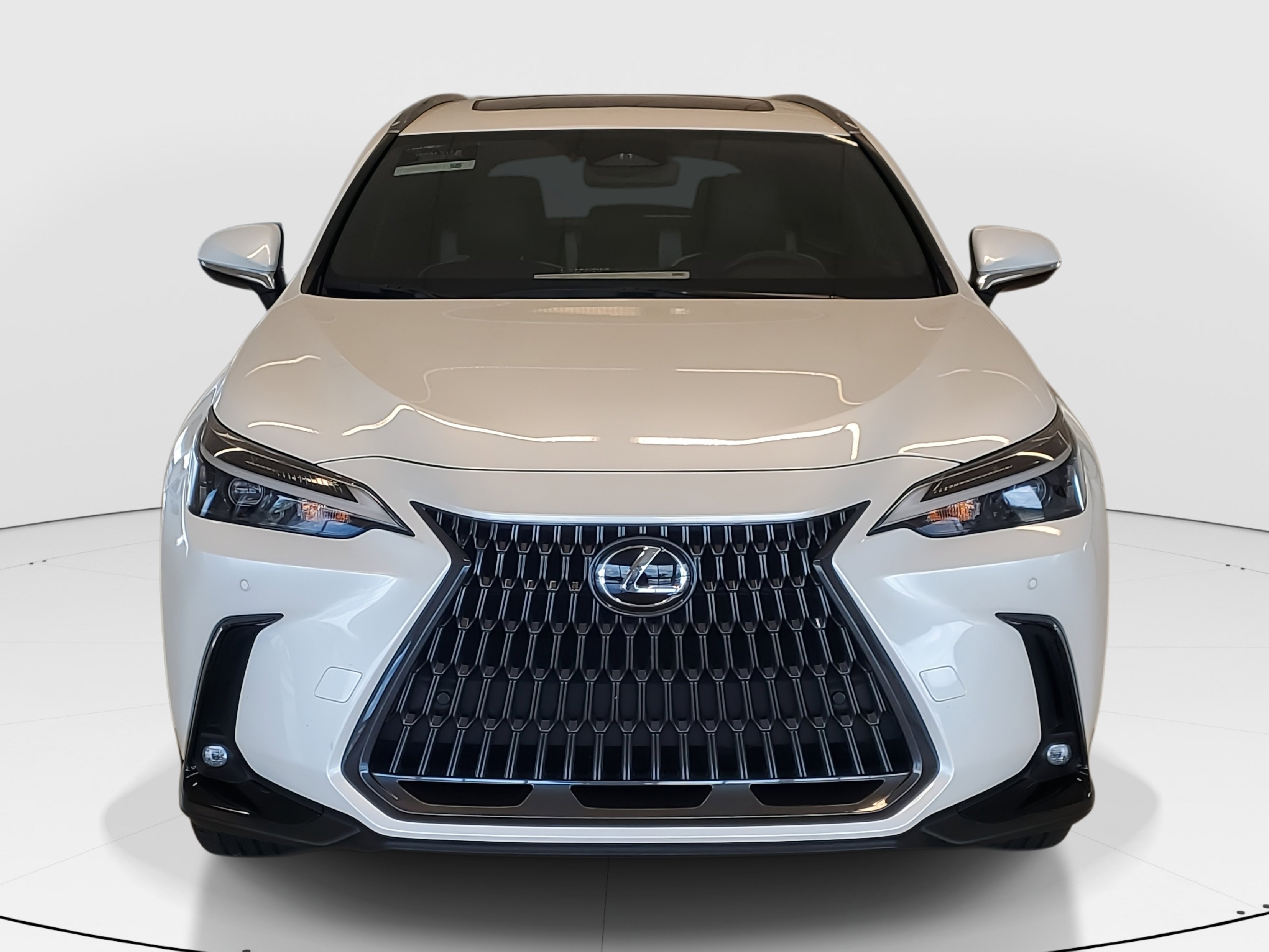 Used 2023 Lexus NX 350h NX 350h Premium image 3