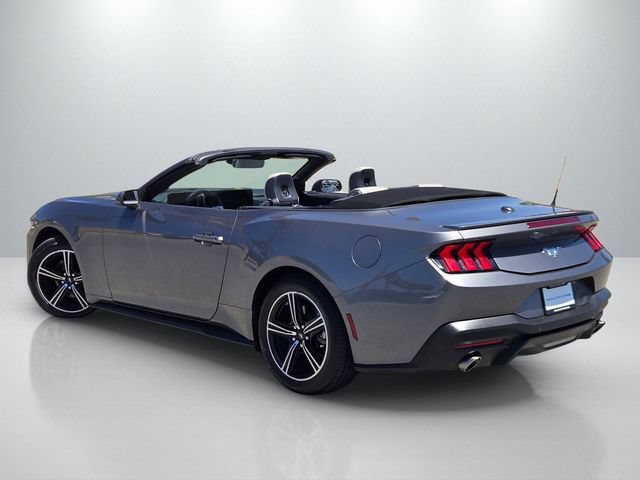 Used 2024 Ford Mustang Premium RWD image 6