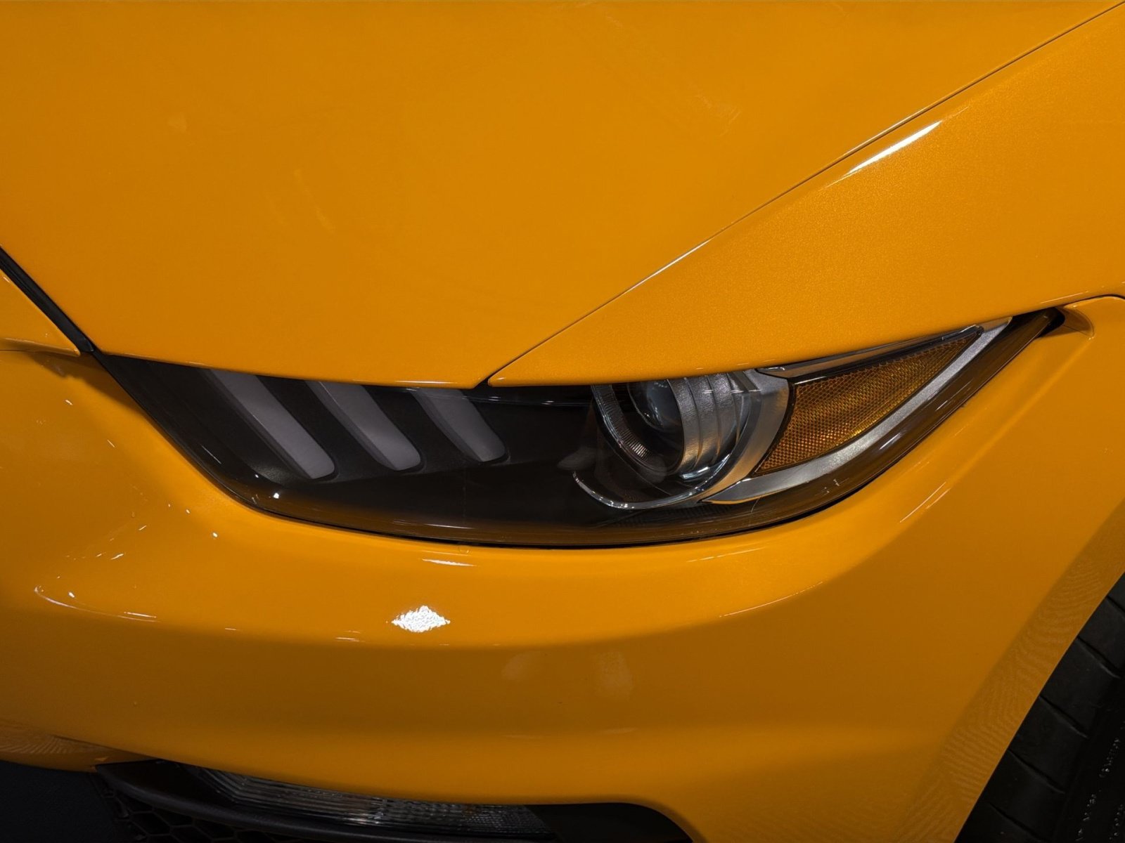 Used 2019 Ford Mustang Shelby GT350 w/ Technology Package RWD image 13