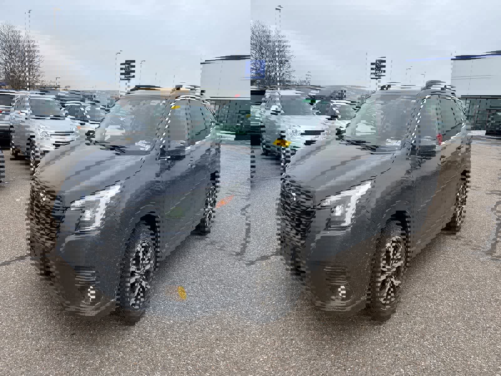 Used 2023 Subaru Forester Limited image 1