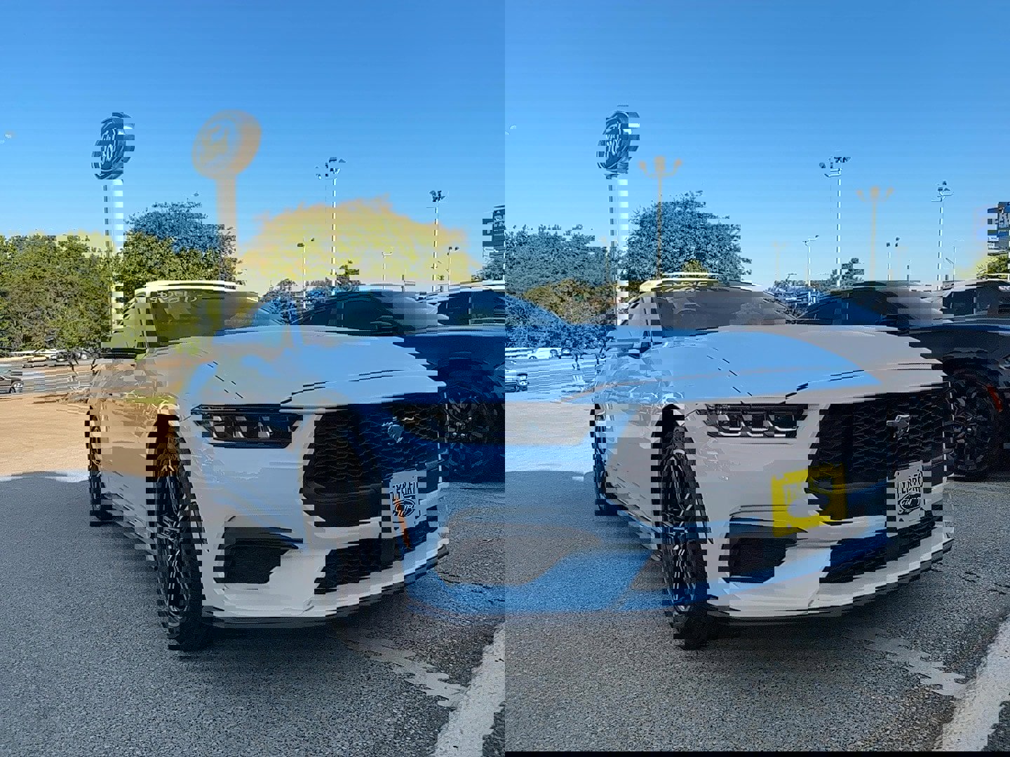 Used 2024 Ford Mustang Premium image 1