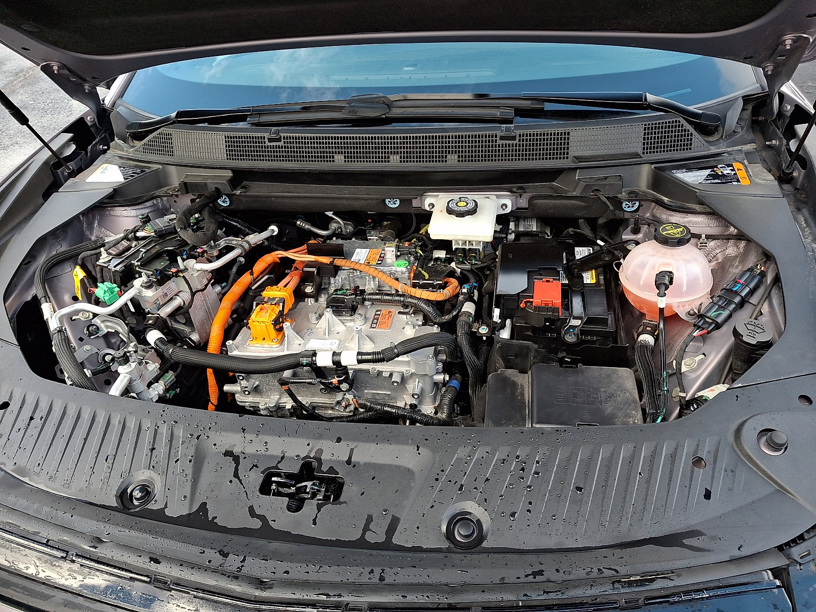 Certified 2024 Chevrolet Equinox EV RS image 28