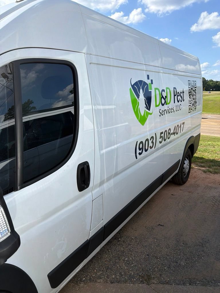 Used 2022 RAM ProMaster 2500 w/ Driver Convenience Group