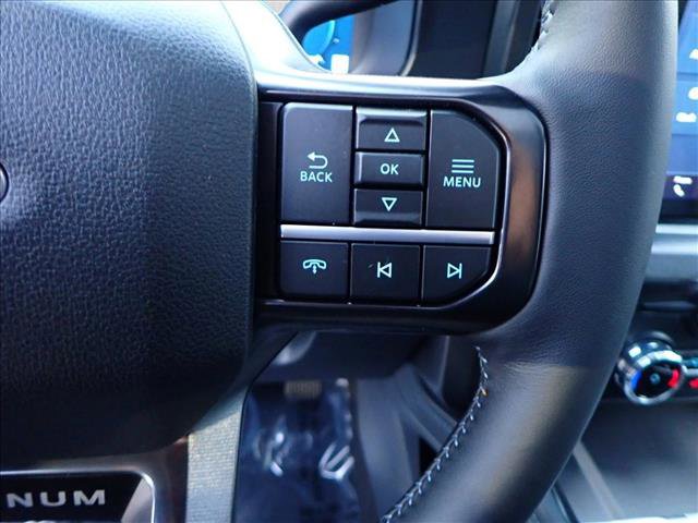 New 2026 Ford F250 Platinum image 14