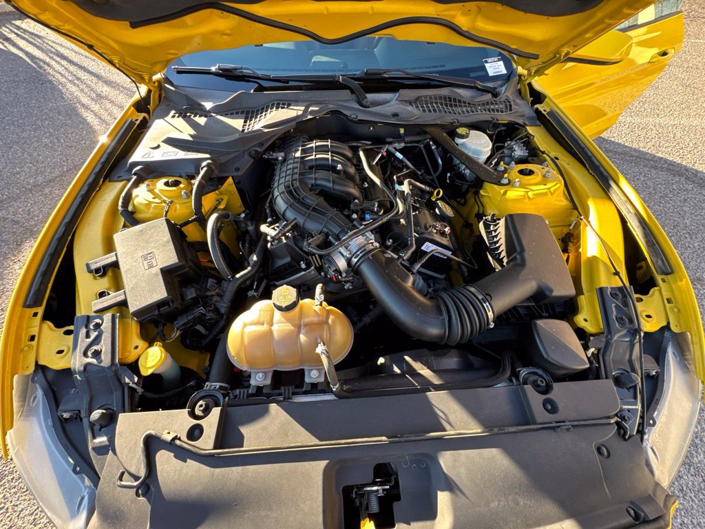 Used 2015 Ford Mustang Convertible w/ Equipment Group 051A RWD image 16