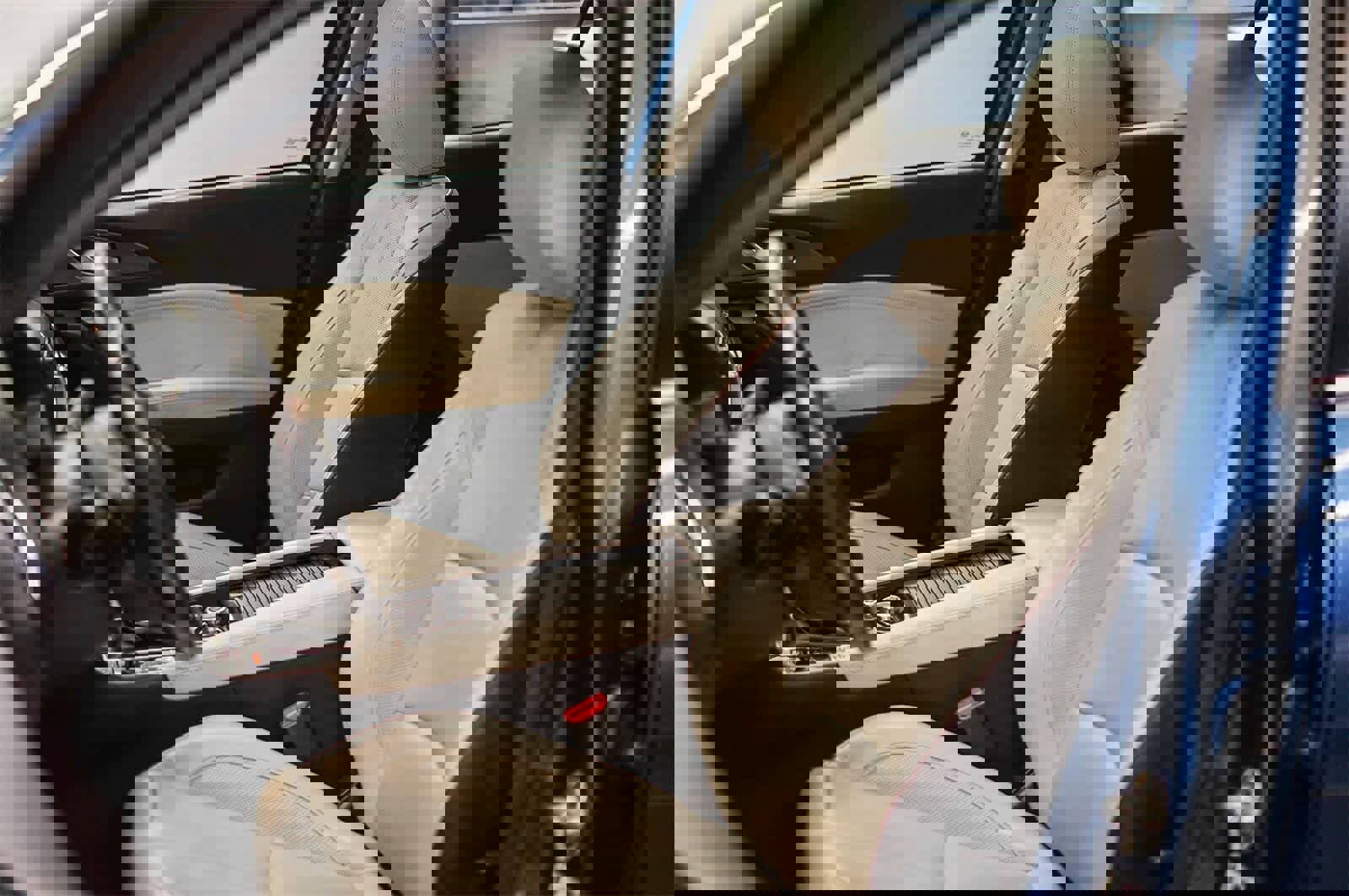 Used 2017 MAZDA MAZDA3 Grand Touring w/ Premium Equipment Package image 17