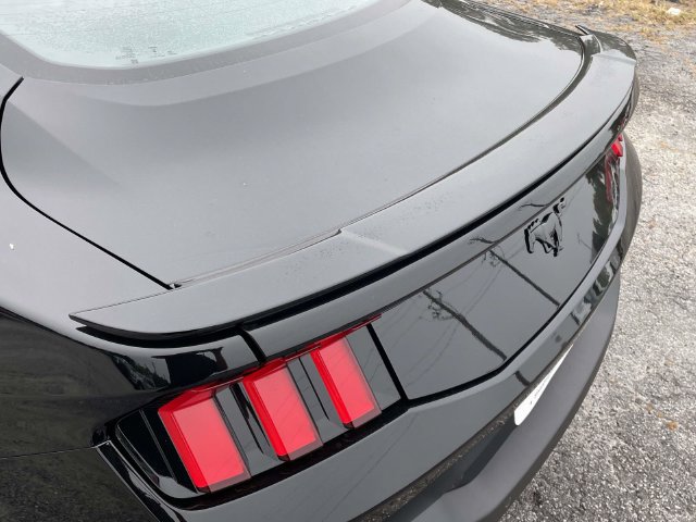 New 2026 Ford Mustang Coupe w/ Mustang Nite Pony Package RWD image 7