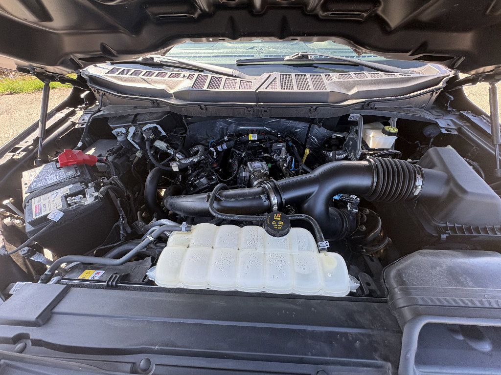 Used 2023 Ford F150 XL w/ STX Appearance Package image 13