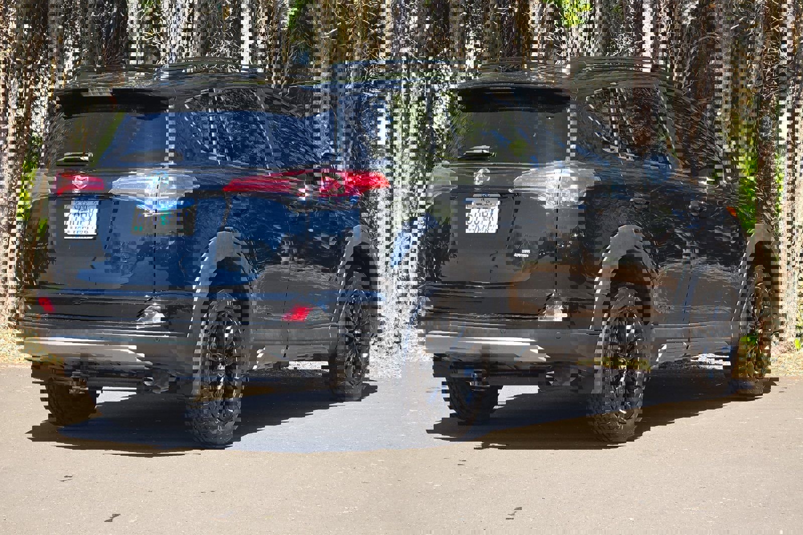 Used 2018 Toyota RAV4 Adventure image 4