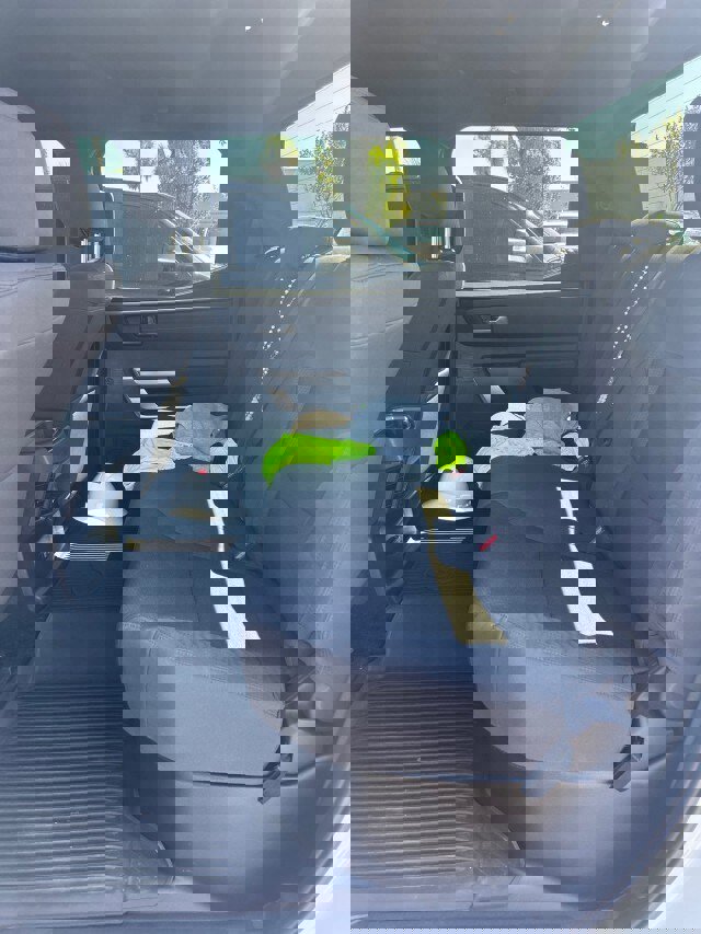 Used 2025 Toyota Tundra SR5 w/ SR5 Convenience Package image 9