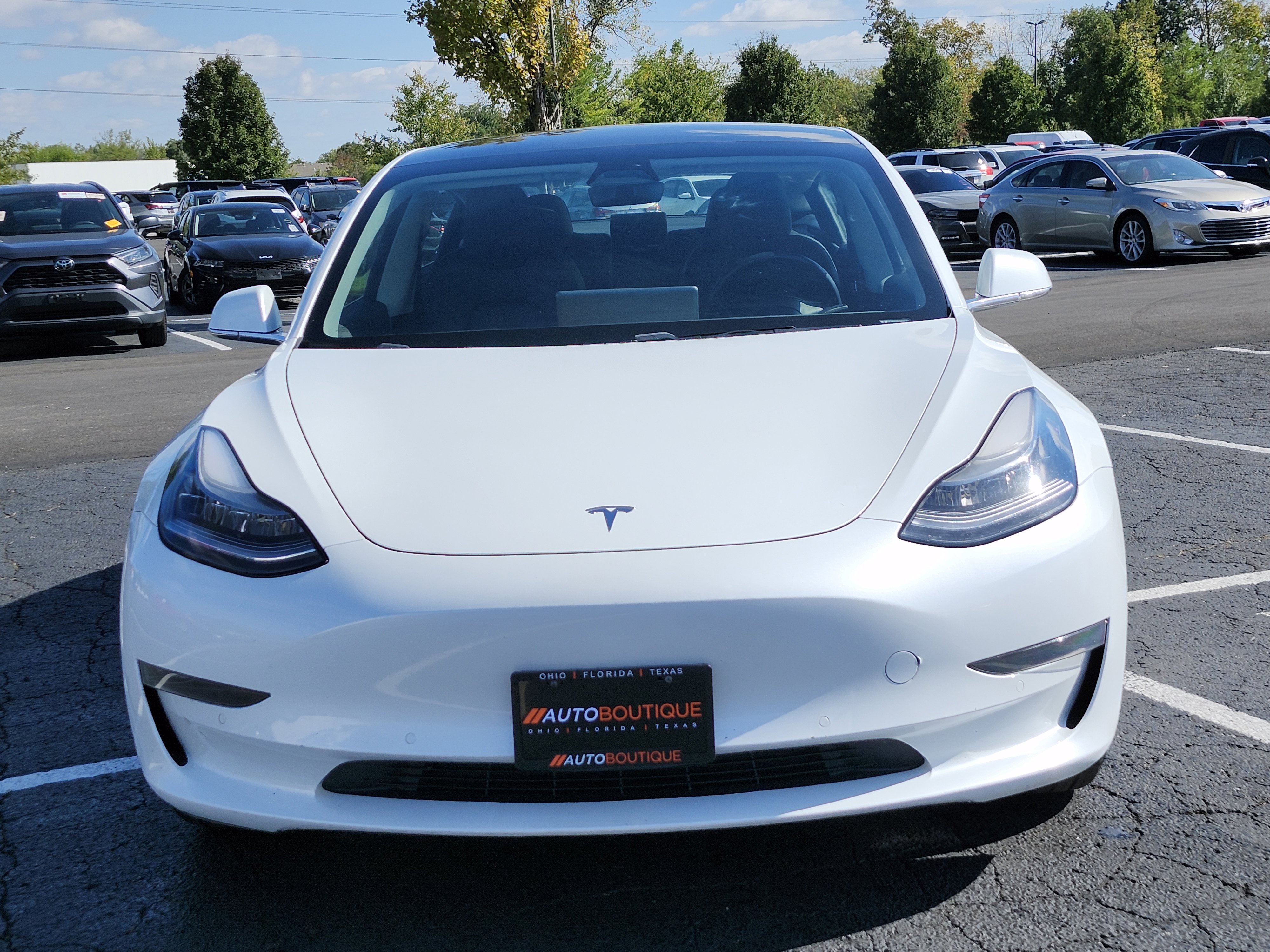 Used 2019 Tesla Model 3 Standard Range Plus image 3