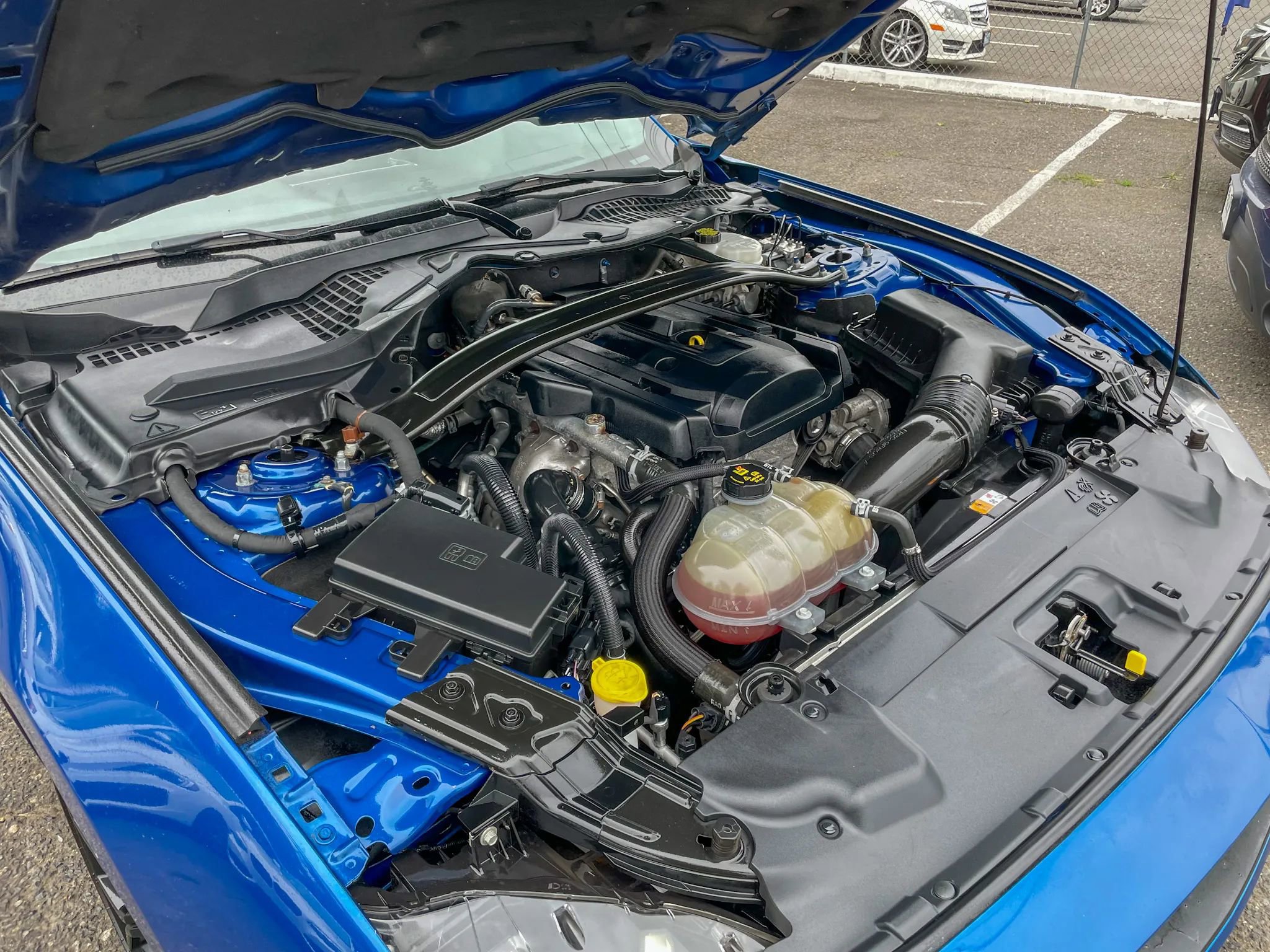 Used 2018 Ford Mustang Coupe w/ Ecoboost Performance Package image 42