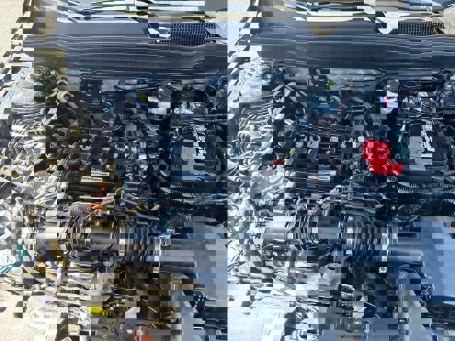 Used 2019 Honda Accord EX image 30