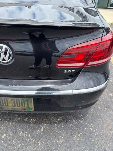 Used 2015 Volkswagen CC FWD image 8