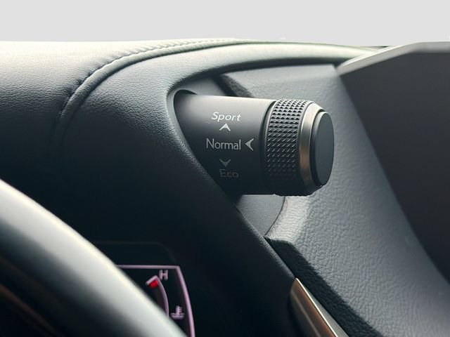Used 2021 Lexus ES 350 w/ Premium Package FWD image 29