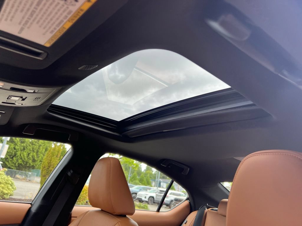 Used 2023 Lexus IS 300 w/ Premium Package RWD image 14