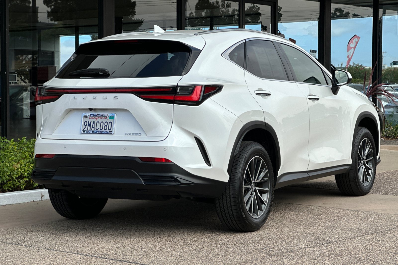 Certified 2025 Lexus NX 250 FWD image 4