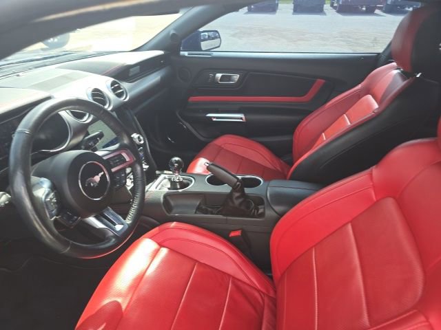 Used 2021 Ford Mustang GT Premium w/ Equipment Group 401A RWD image 9
