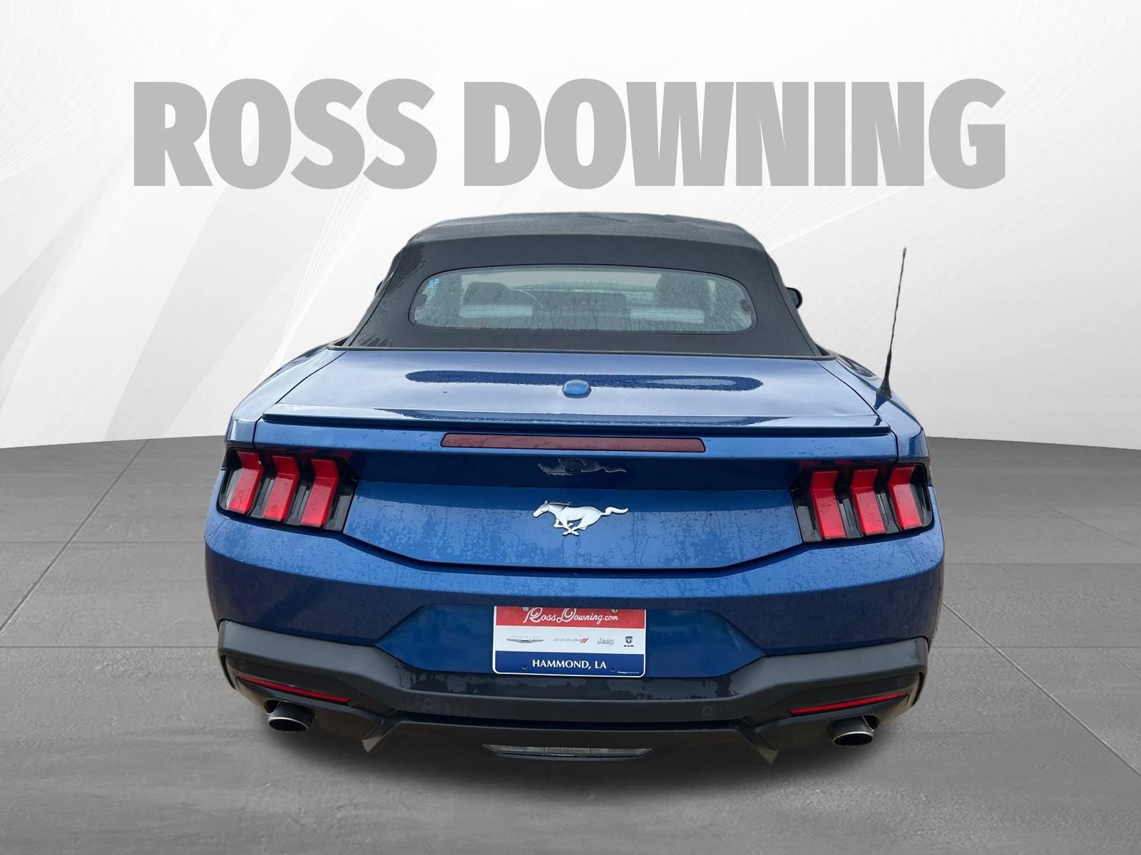 Used 2024 Ford Mustang Premium image 6