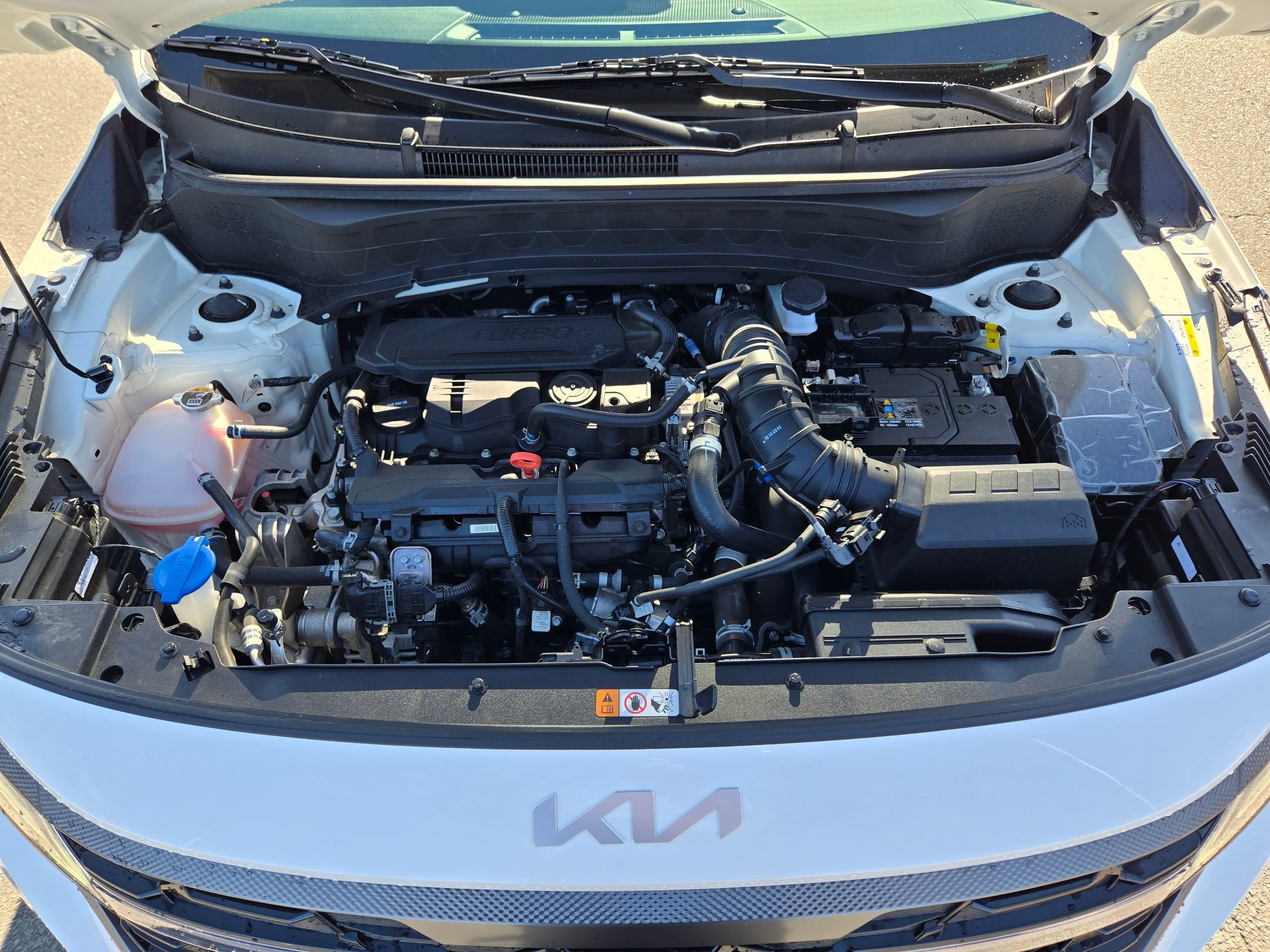 Used 2024 Kia Seltos X-Line image 19