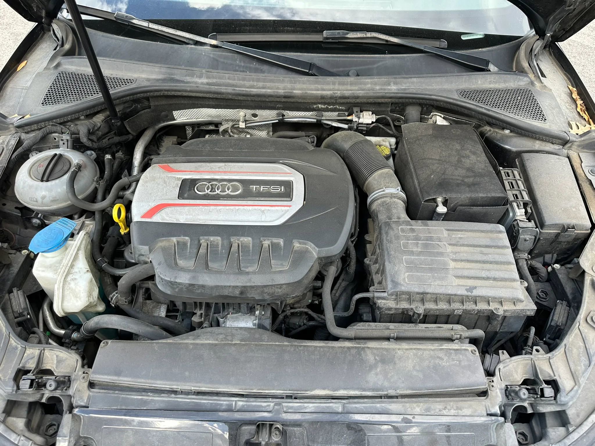 Used 2015 Audi S3 Premium Plus AWD/4WD image 19