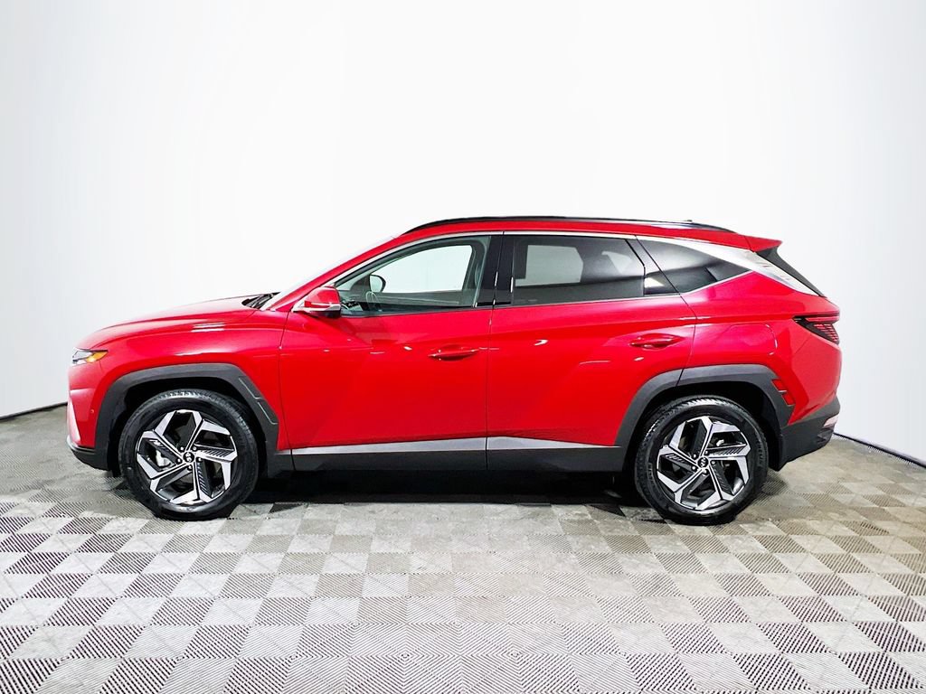 Used 2023 Hyundai Tucson Limited AWD/4WD image 4